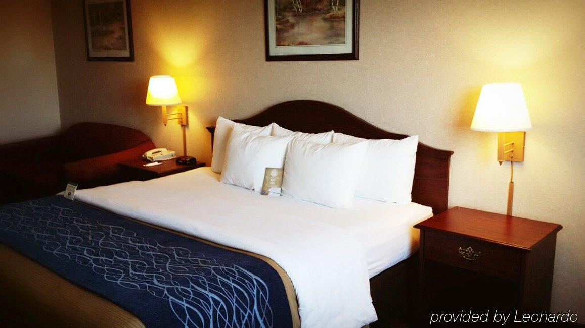 Comfort Inn Tacoma Dış mekan fotoğraf